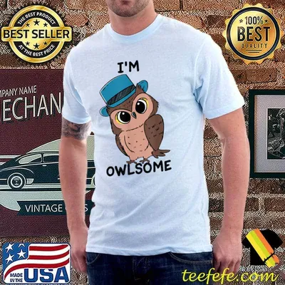 Owl Lover Bird I'm Owlsome T-Shirt