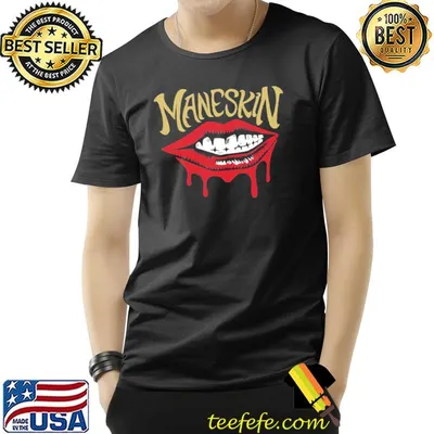 Rock band maneskin album cover fan art shirt