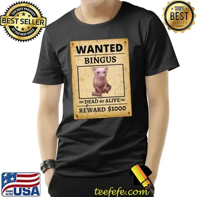 Wanted Bingus Dead Or Alive Reward Bounty Poster Hairless Sphynx Cat T-Shirt
