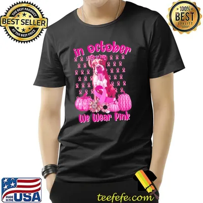 Cute we wear pink Boxer breast cancer pumpkin halloween shirt