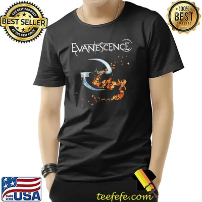 Butterflies evanescence band tour classic shirt