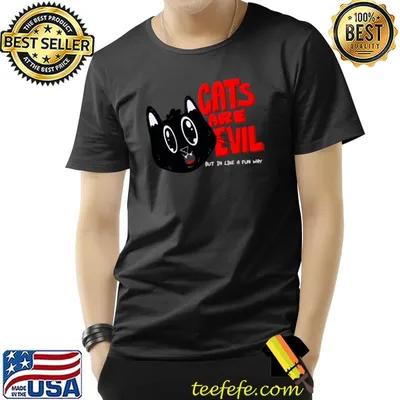 Cats are evil but in like a fun way T-Shirt