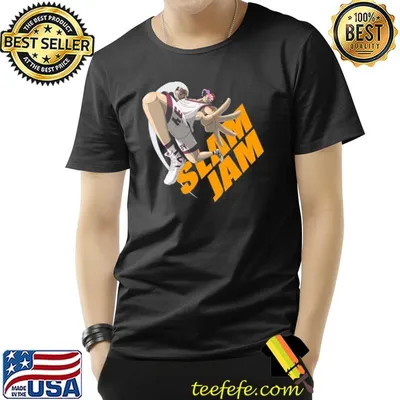 Charlotte charles barkley katakurI funny anime art phoenix suns classic shirt