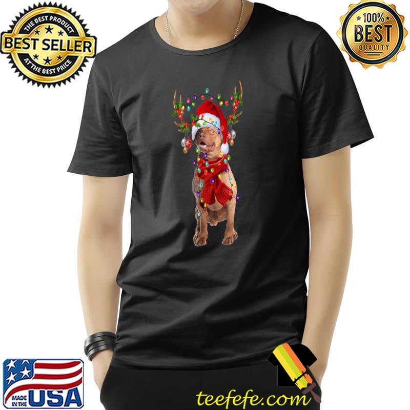 Chesapeake Bay Retriever Christmas Snow Layer Santa Dog Xmas Lights T-Shirt
