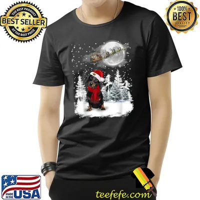 Dachshund Dog Wear Santa Hat Under Moonlight Snow Christmas Pajama T-Shirt