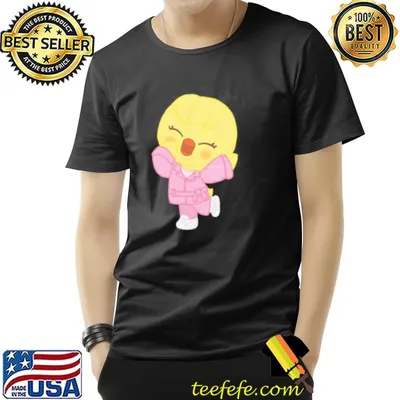 Love stay chocolate factory bbokarI stray kids skzoo trending classic shirt