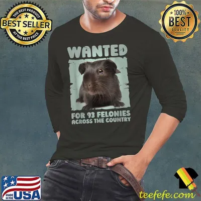Capybara Mugshot Wanted 93 Felonies Across. The Country T-Shirt