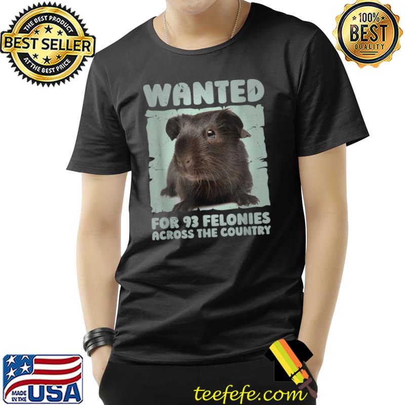 Capybara Mugshot Wanted 93 Felonies Across. The Country T-Shirt Unisex Capybara Mugshot Wanted 93 Felonies Across. The Country T-Shirt Unisex