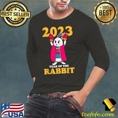 Chinese New Year 2023 Rabbit With Box Gloves Year Of Rabbit T-Shirt