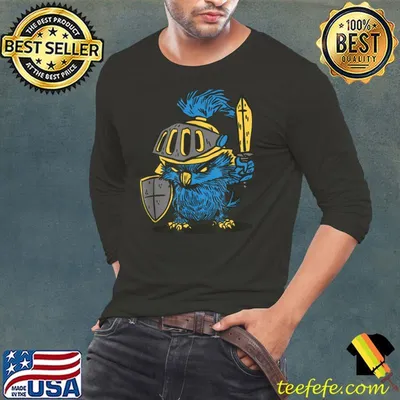Medieval baby owl character wearing knight elements T-Shirt