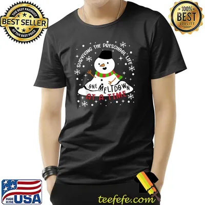 Surviving The Preschool Life Snowman One Meltdown At Time Christmas T-Shirt