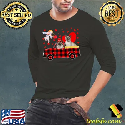 Two Cute Siamese Cats On Pickup Truck Plaid Valentine Hearts T-Shirt
