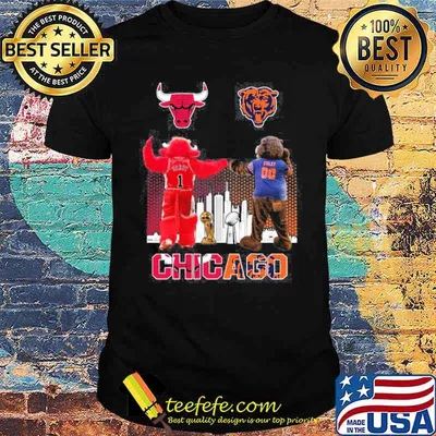 Chicago Bulls Bears Chicago sport shirt