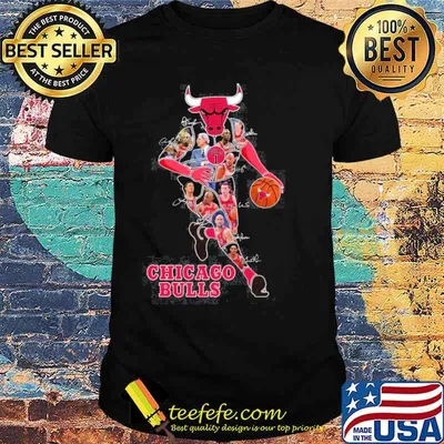 Chicago Bulls signatures sport shirt
