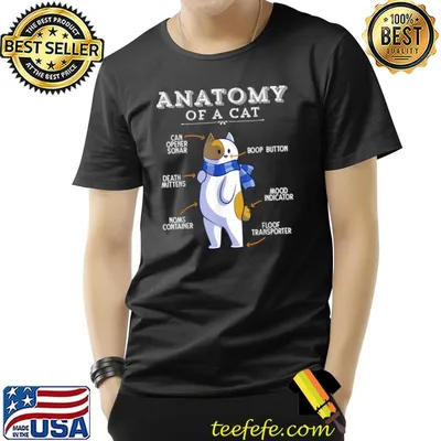 Anatomy Of A Cat Can Opener Sonar Cat Kitty Kitten T-Shirt