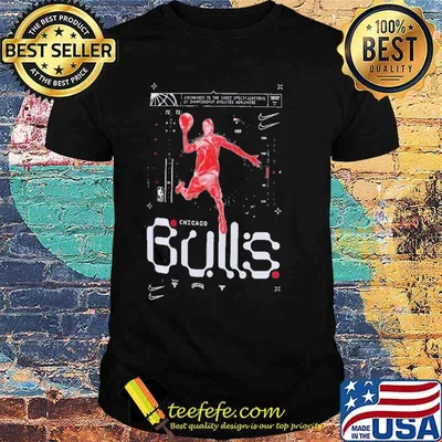 Awesome chicago Bulls Courtside Air Traffic Control sport shirt