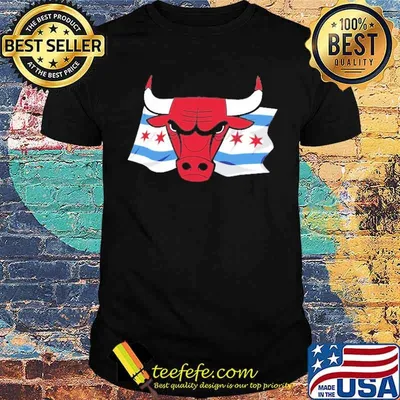Awesome chicago Bulls Hometown Collection Chicago Flag basketball shirt
