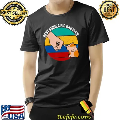 Best Guinea Pig Dad Ever Father's Day Vintage Sunset T-Shirt