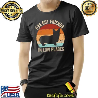Corgi I've Got Friends In Low Places Pembroke Welsh Vintage Sunset T-Shirt