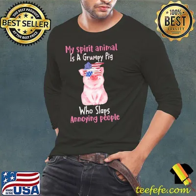 Grumpy Pig my spitit animal is a grumpy pig who slaps annoying people shirt