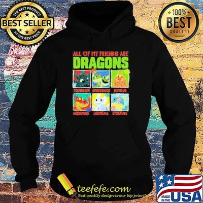 How To Train Your Dragon 3 Hidden World All of my friends are Dragon Friends shirt
