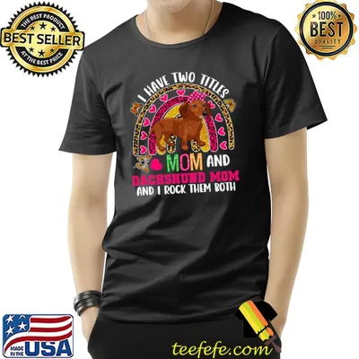 I Have Two Titles Mom And Dachshund Mom Floral Dog Bow Rainbow Leopard T-Shirt