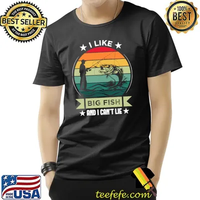 I like big fish and i can't lie stars vintage sunset T-Shirt