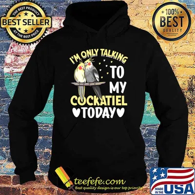 I'm Only Talking To My Cockatiel Today I Cockatiel T-Shirt