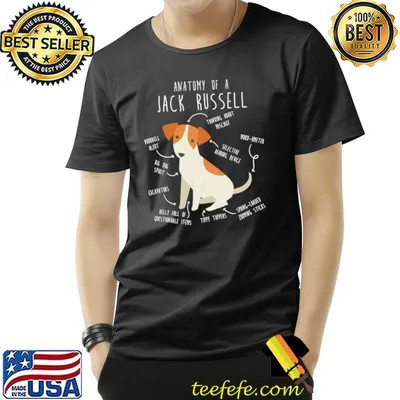 Jack Russell Terrier Dog Anatomy Doorbell Alert Thinking About Mischief T-Shirt