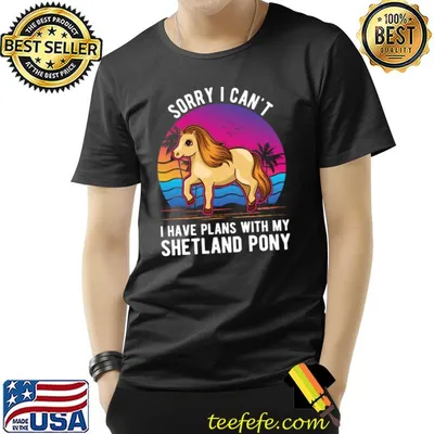 Sorry I Can't Have Plans With My Shetland Pony Shetty Sunset Retro T-Shirt