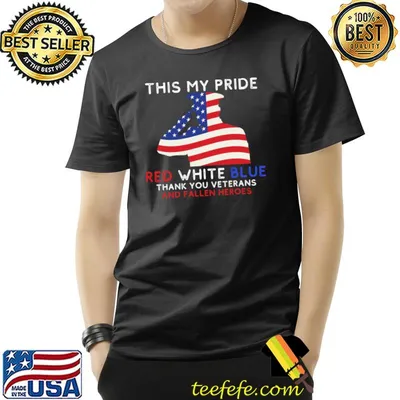 This My Pride Red White Blue Thank Veterans Fallen Heroes Flag Us T-Shirt