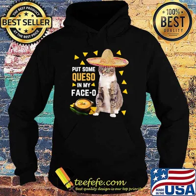 Cat Put Some Queso In My Face O Cinco De Mayo Cat T-Shirt