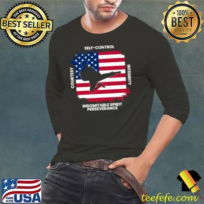 Indomitable spirit perseverance courtesy american flag taekwondo T-Shirt