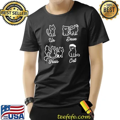 Un Deux Trois Cat French Teacher T-Shirt