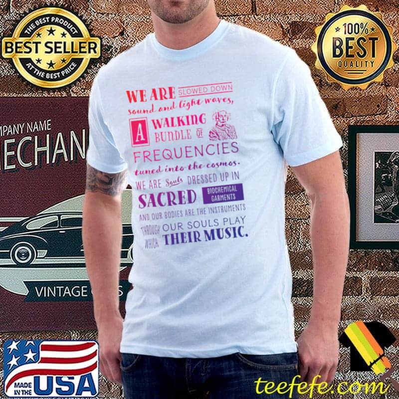 We are slowed down sound and light waves gradient T-Shirt