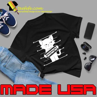 I Knocked Down The Christmas Tree Cat T-Shirt