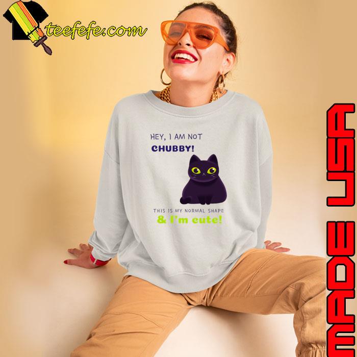 Hey I am not chubby this is my shape & I'm cute cat T-Shirt