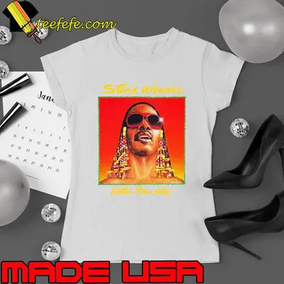 Stevie wonder hotter than july american singer T-Shirt
