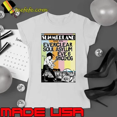 Vintage Summerland Tour 2014 Everclear Soul Asylum Concert T-Shirt
