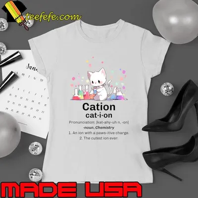 Chemistry Cat Cation An Ion With A paws-itive charge T-Shirt