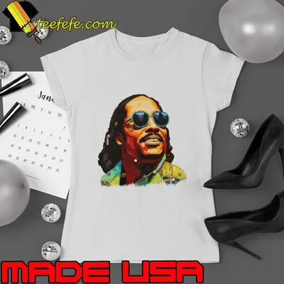 Koyo Ngene art Stevie Wonder an American singer T-Shirt