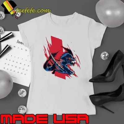 Make Asylums Great Again shirt