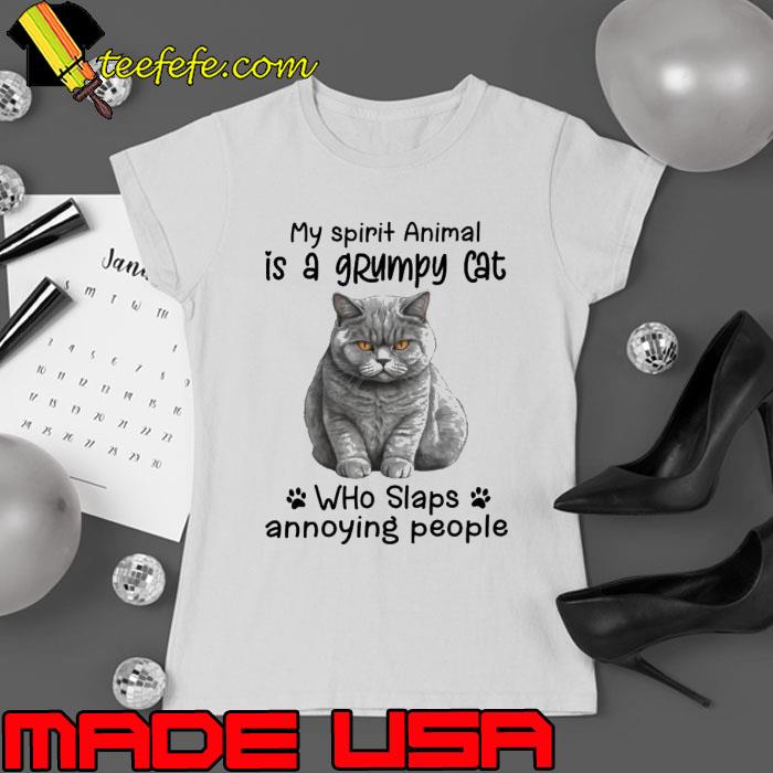 My Spirit Animal Is A Grumpy Cat Who Slaps Annoying People s Ladies tee My Spirit Animal Is A Grumpy Cat Who Slaps Annoying People s Ladies tee