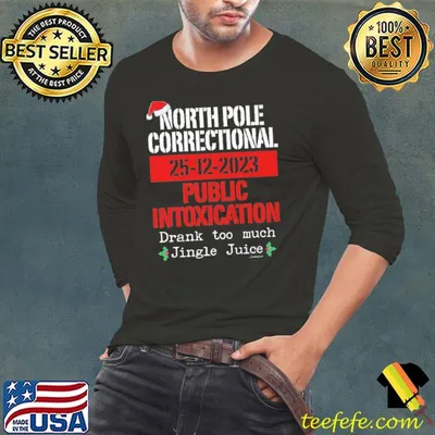 North Pole Correctional 25-12-2023 Public Intoxication shirt