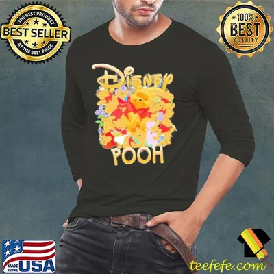 Disney Pooh Cartoon Shirt