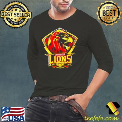 Gryffindor Lions quidditch team shirt