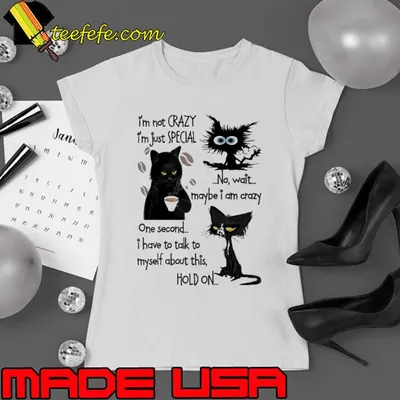 I'm Not Crazy I'm Just Special No Wait Myself About This Hold On Cat shirt