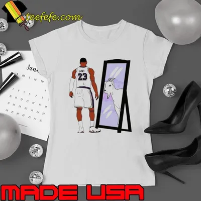 LeBron James Mirror GOAT Basketball Lakers shirt