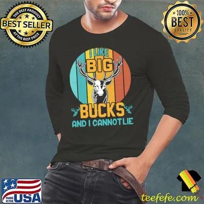 I like Big Bucks And I Cannot Lie Deer Vintage Sunset T-Shirt