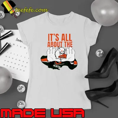 Its all about the Miami Hurricanes mascot football shirt